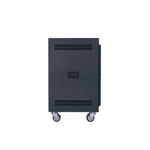 Lowell Mfg Equipment Rack-Portable-14U, 22in Deep, With Solid Door