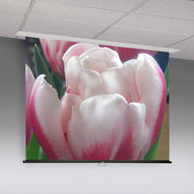 Load image into Gallery viewer, Draper Access M [AV] Manual Projection Screen 8&#39; x 10&#39; (96&quot; x 120&quot;) 197068EC