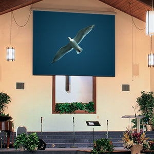 Draper Targa [16:10] Quiet Motor Projection Screen 109" (57 1/2" x 92") 116368Q